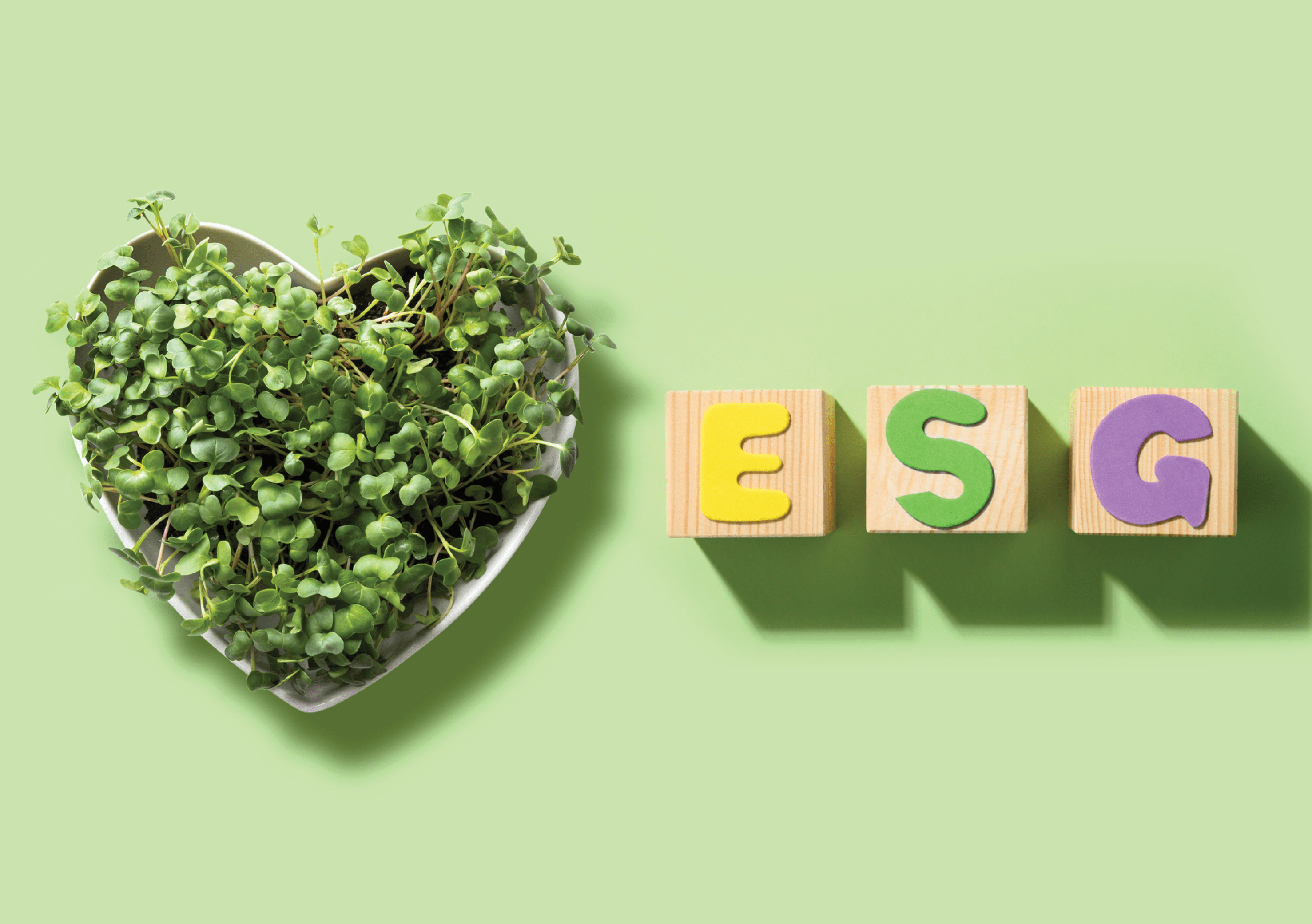 Concept ESG with microgreens in plate shaope of heart. Environmental. Social. Governance. Company audit for environmental friendliness of business.