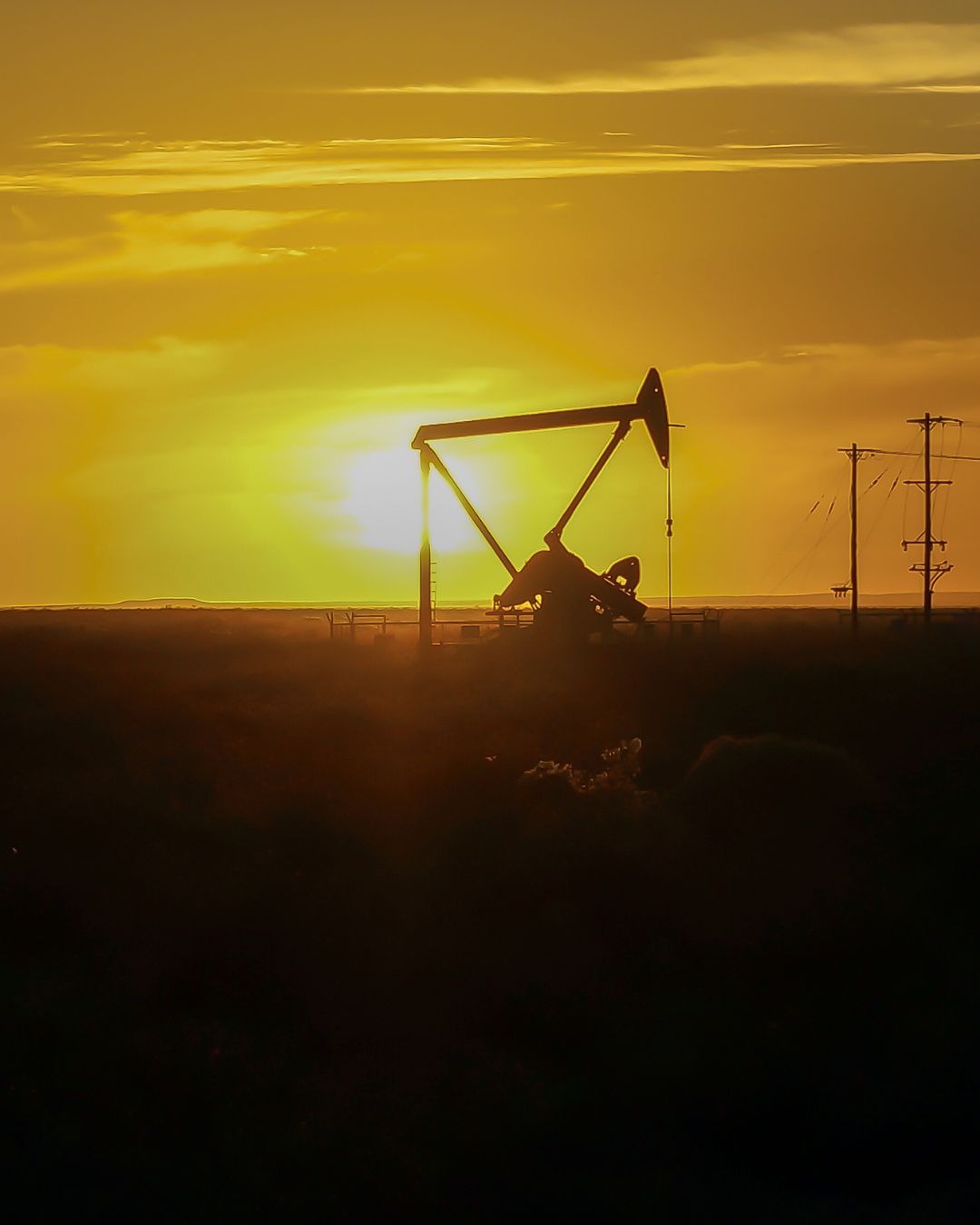 Live Saúde Bucal Instagram Post (Post para Instagram (45)) (7)